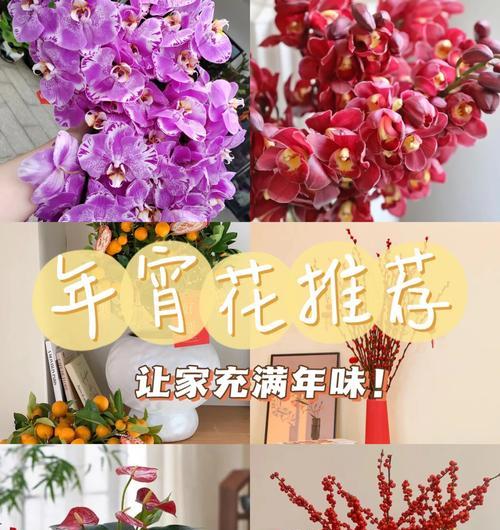 各种花的节日及其寓意是什么？
