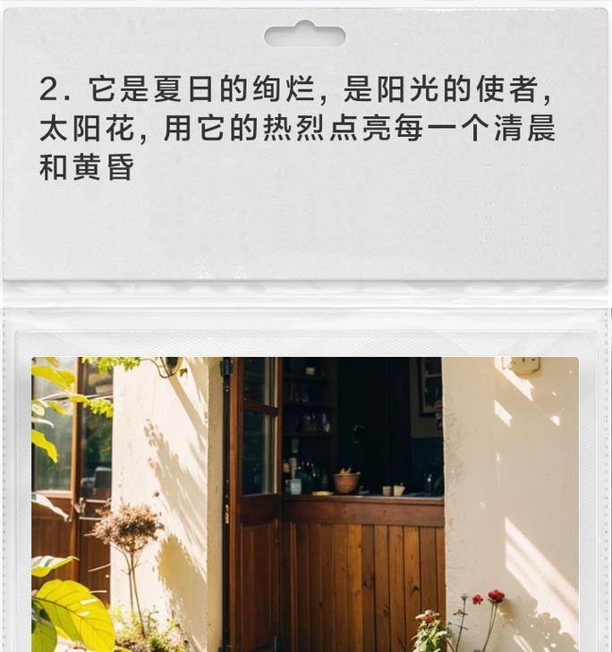简短的太阳花祝福句子有哪些？