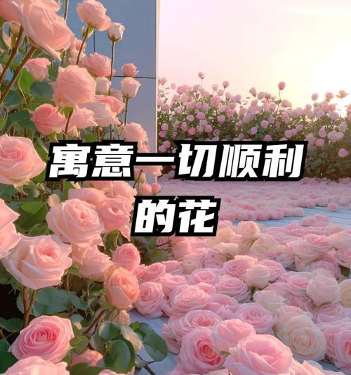 简短的太阳花祝福句子有哪些？