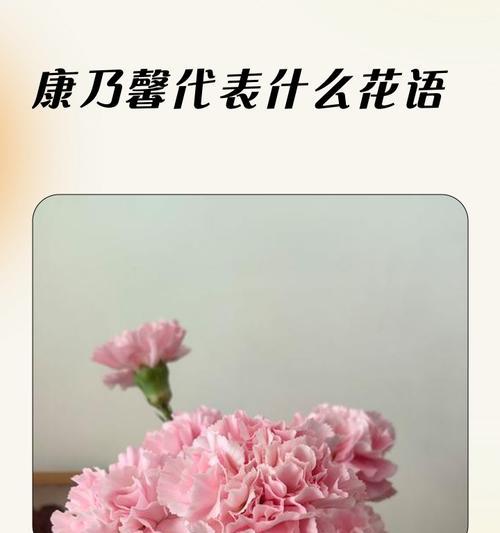 宽窄好运的花语代表什么？如何通过花语传递好运？