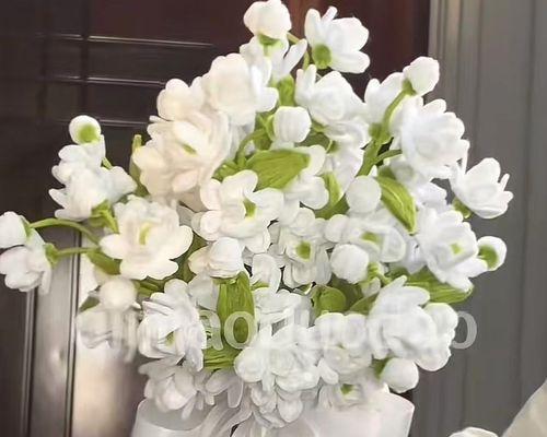 白色茉莉花代表什么寓意？白色茉莉花的象征意义是什么？