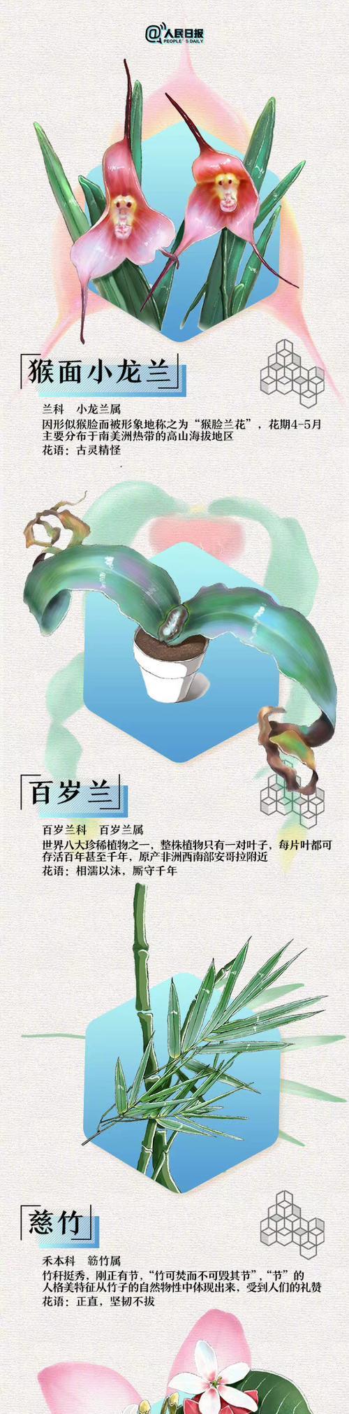 如何进行浪漫花语测评？