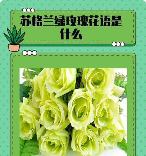 捧花互换代表吉祥如意吗？它的文化意义是什么？