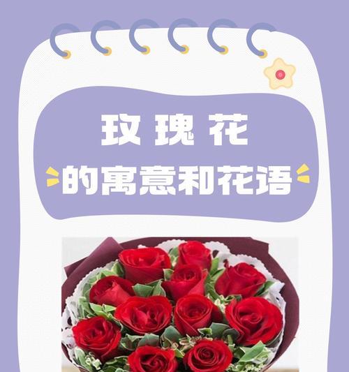 橘色玫瑰花代表什么？一朵橘色玫瑰的花语是什么？