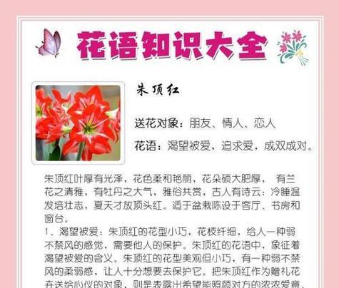 节气花语有哪些？如何用花表达季节变化？