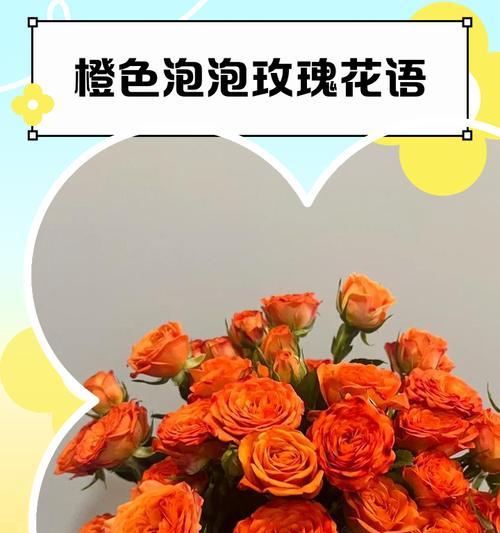 如何在日常生活中运用浪漫花语？