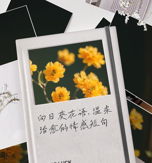 向日葵香槟色花的寓意和象征是什么？香槟色向日葵的特别含义？