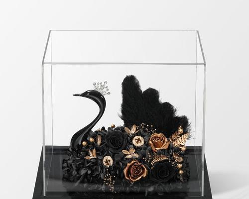 白色永生花玫瑰象征着什么？