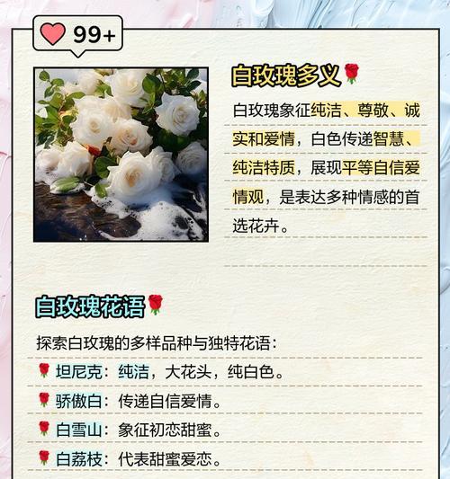 哪些玫瑰花象征爱情？它们的花语是什么？