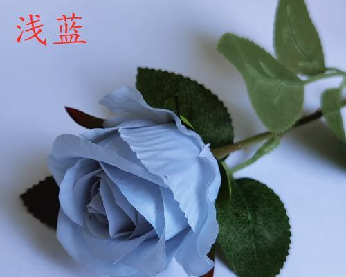 情人节送假花有何寓意？假花在情人节的意义是什么？
