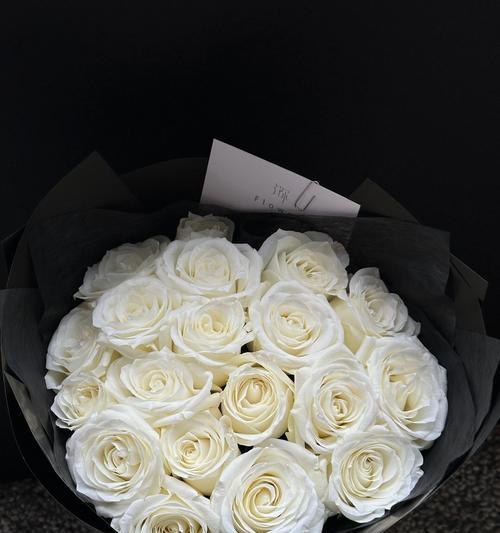 白色玫瑰花的寓意是什么？