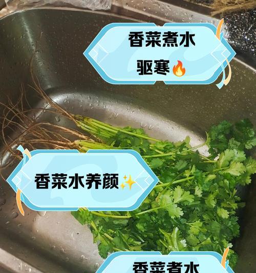 香菜在爱情中代表什么？香菜花语的含义是什么？