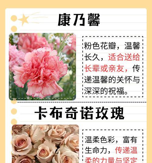 老人送花给老人有何寓意？老年人之间送花的意义是什么？
