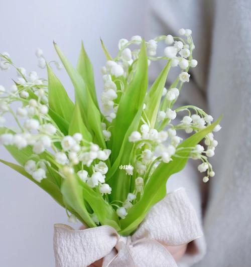 手捧花通常代表什么？它的花语有哪些？