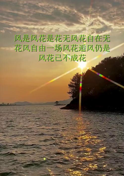风花节中象征自由的花是什么？