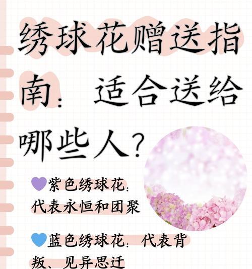 送四个颜色花的寓意是什么？它们在生活中的应用有哪些？