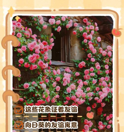什么花象征快乐健康？快乐健康花语是什么？