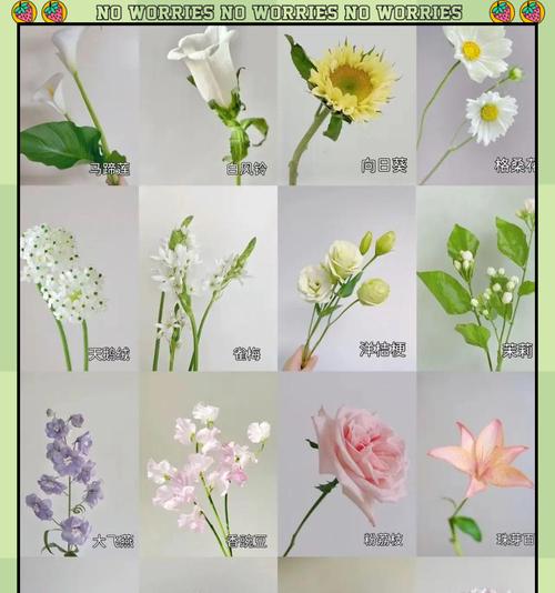 哪种花寓意吉祥宝塔的意思？