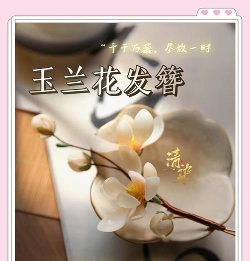 象征友谊的白色花有哪些？白色花卉中哪些代表友情？