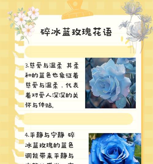 玫瑰花的寓意红色和蓝色是什么？