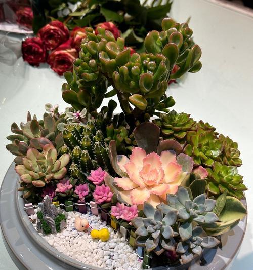 春节期间摆放哪些花材寓意吉祥？