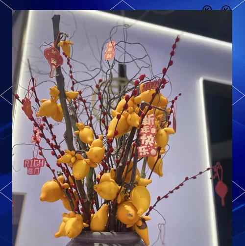 春节期间摆放哪些花材寓意吉祥？