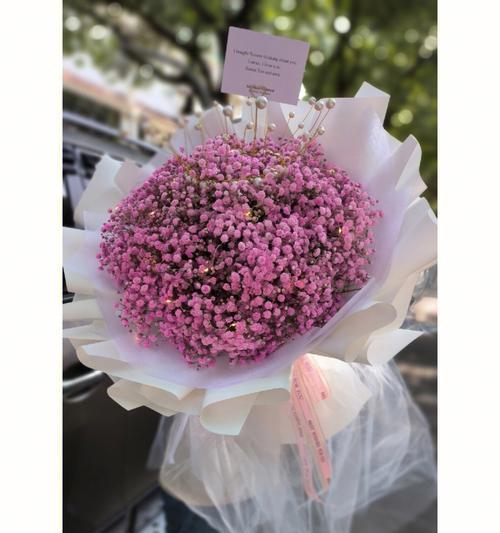七夕节送满天星花意味着什么？满天星花的寓意是什么？