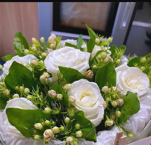 白色玫瑰与茉莉花组合的寓意是什么？它们象征什么？