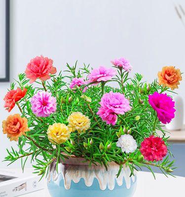 送绿色的花含义是什么呢？绿色花束在送礼时有何特殊含义？