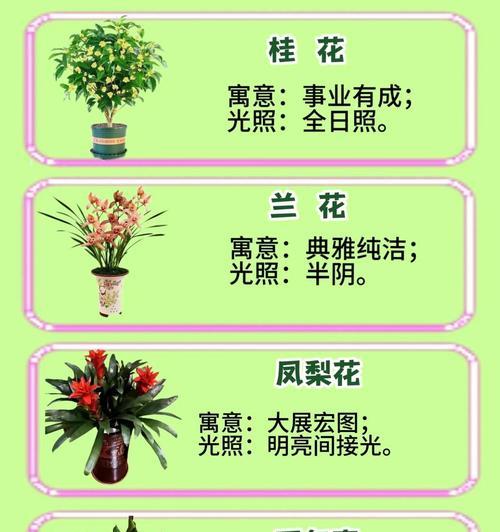 花材搭配有哪些吉祥寓意？如何选择合适的花材？