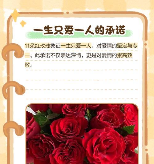 十一支粉色玫瑰花代表了什么？