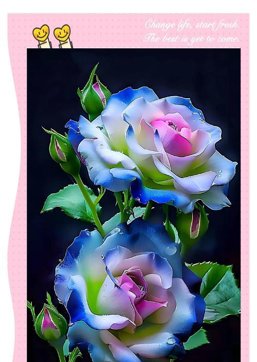 蓝色桔梗花的寓意和花语是什么？