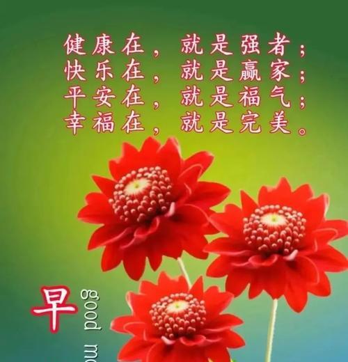 哪种花代表着祝福？