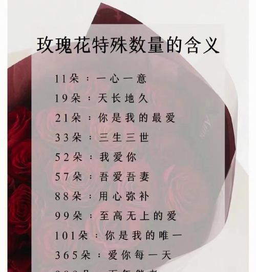 玫瑰花颜色和朵数的寓意是什么？不同颜色和数量的玫瑰代表什么？
