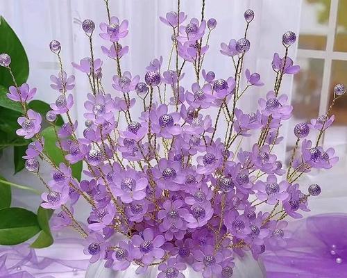 多彩幸福花有哪些寓意？如何挑选寓意丰富的花卉？