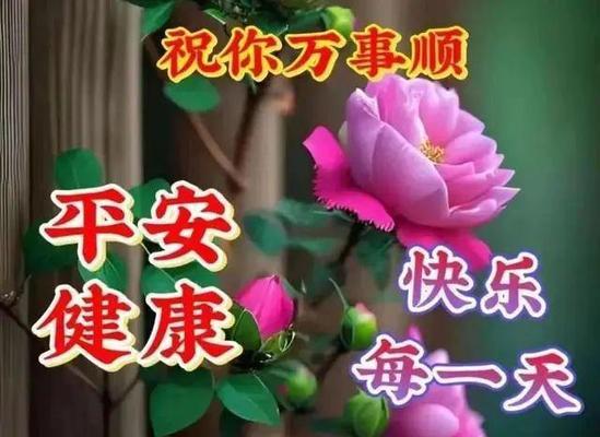 哪种花寓意快乐平安？