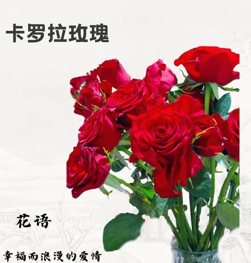 古诗中哪些花象征爱情？