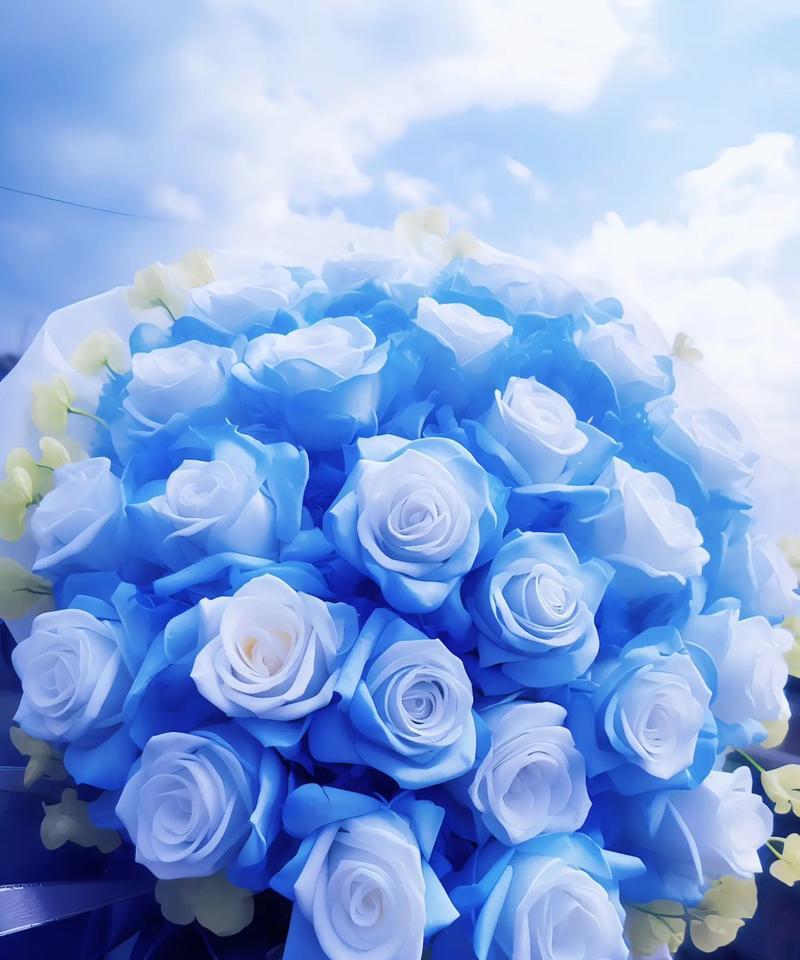 毛毯与浪漫花语有何关联？如何用花语表达毛毯的浪漫？