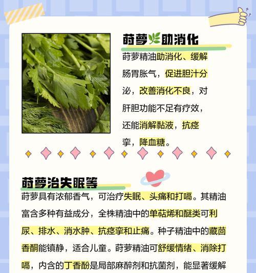 莳花的文化意义是什么？莳花在中国文化中的地位如何？