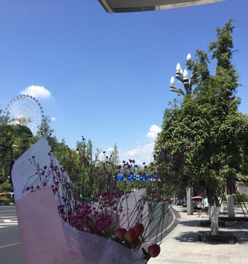 手捧花中红橙白蓝色分别代表什么？手捧花的色彩寓意是什么？
