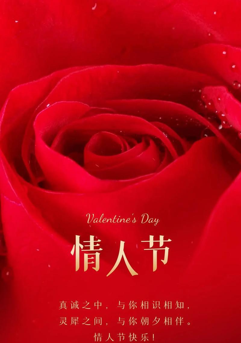 情人节送五朵花代表什么？五朵花的花语是什么？