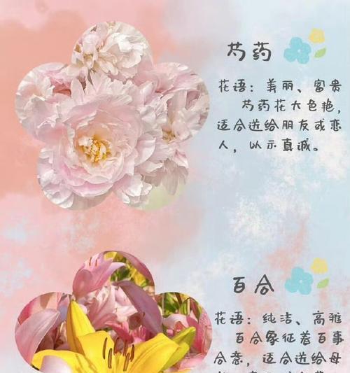 520的祝福花语是什么？如何用花表达520的祝福？