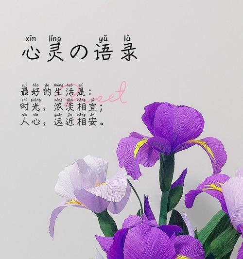 紫色花的特殊含义是什么？紫色花语中有哪些特别的？