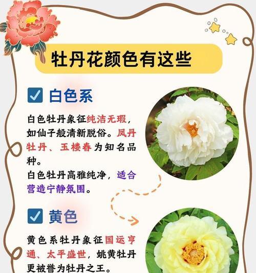 哪种花象征社会和谐？社会和谐的花有哪些特点？