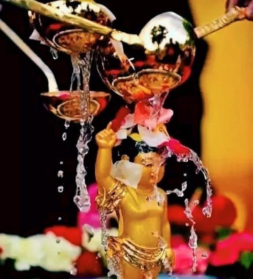 浴佛节的花的意义和象征是什么？浴佛节花卉的寓意有哪些？