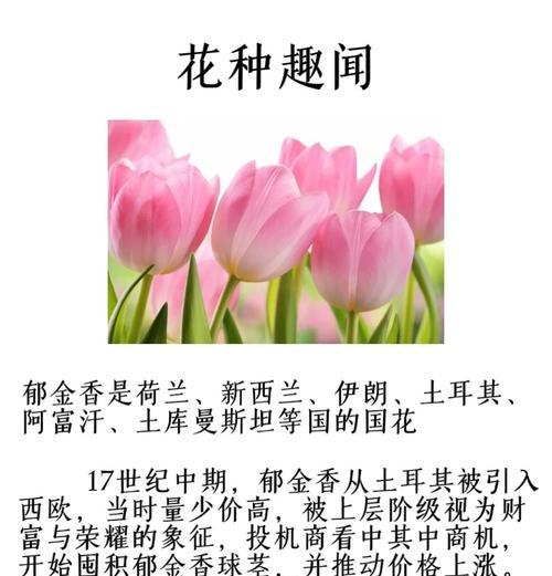 为什么说花象征着浪漫？