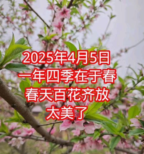 百花齐放季节代表了什么？