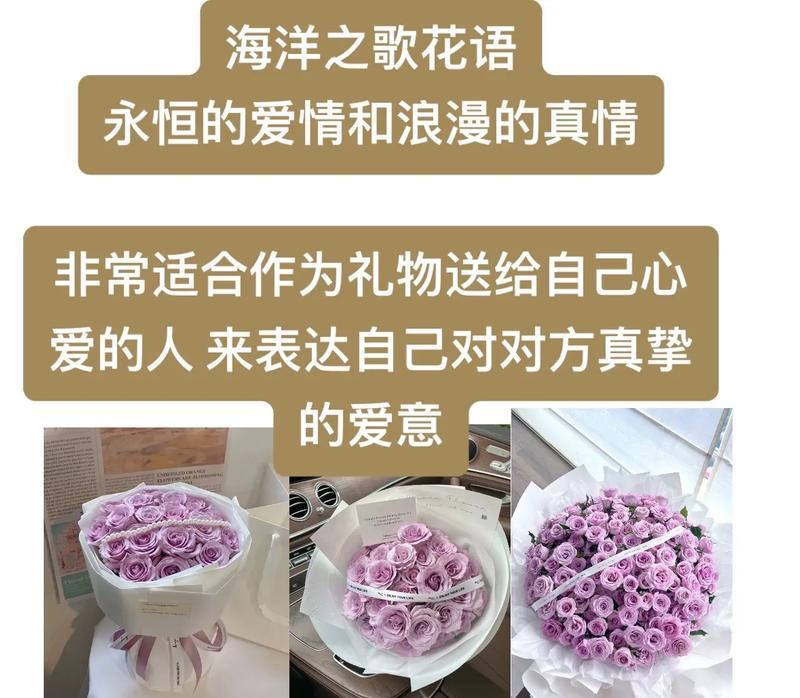 大海与浪漫花语有何关联？大海的花语是什么？
