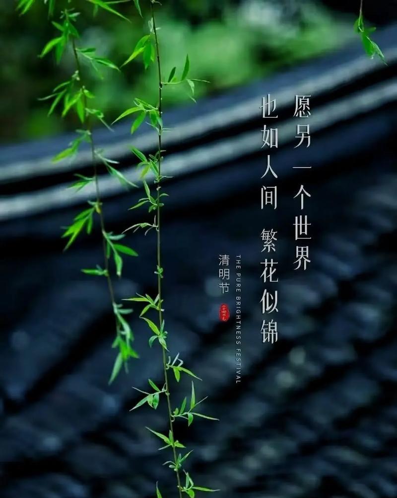 春雨花语有什么传说？春雨与花语有何联系？