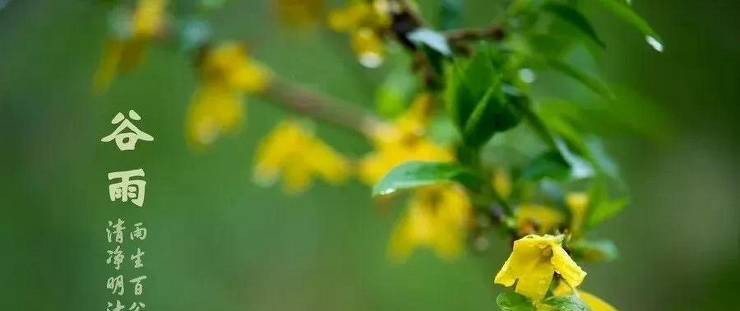 春雨花语有什么传说？春雨与花语有何联系？